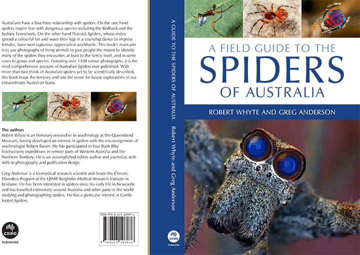 Spiderbook Cover